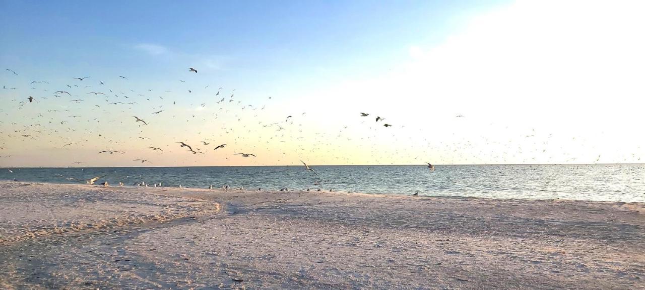 Villa Sunset Vistas 407S St. Pete Beach Esterno foto