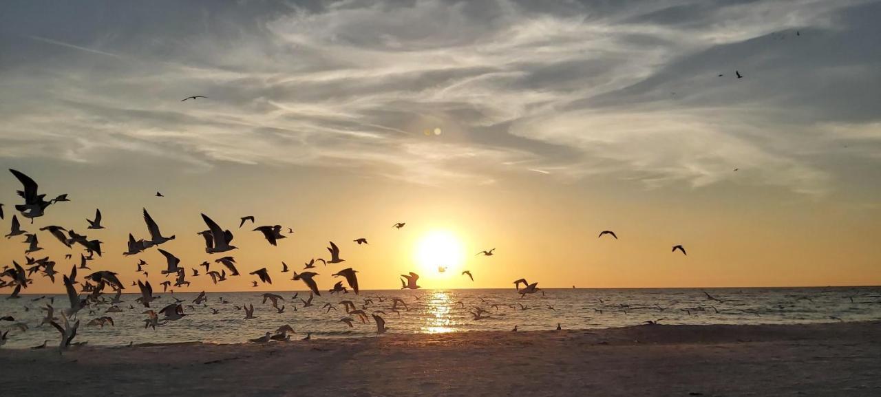 Villa Sunset Vistas 407S St. Pete Beach Esterno foto